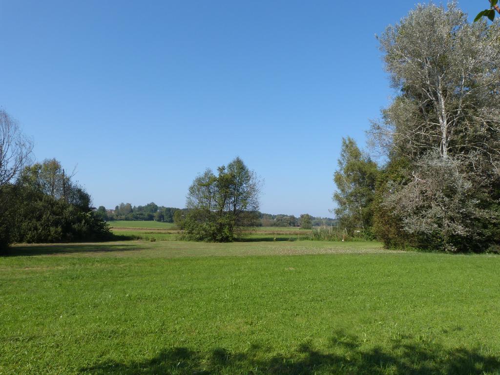 Chiemsee Comfort-Bungalow Mit Garten Rimsting Εξωτερικό φωτογραφία